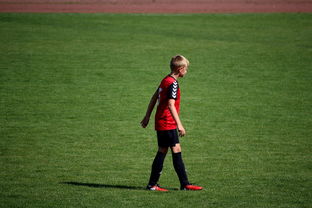 乐鱼体育官网下载-俱乐部青训选拔日活动吸引众多有潜力少年参与，足球青训俱乐部招生宣传